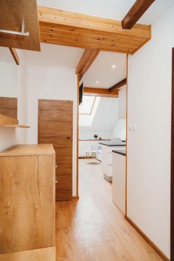 Center City Charming Loft Apartment コシツェ エクステリア 写真